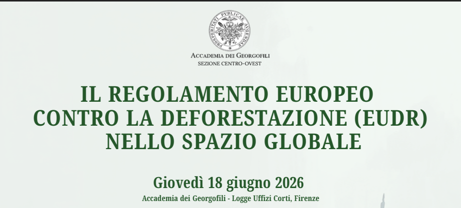 Il Regolamento europeo contro la deforestazione (EUDR) nello spazio globale